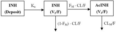 Population Pharmacokinetics and Pharmacodynamics of Isoniazid and its Metabolite Acetylisoniazid in Chinese Population